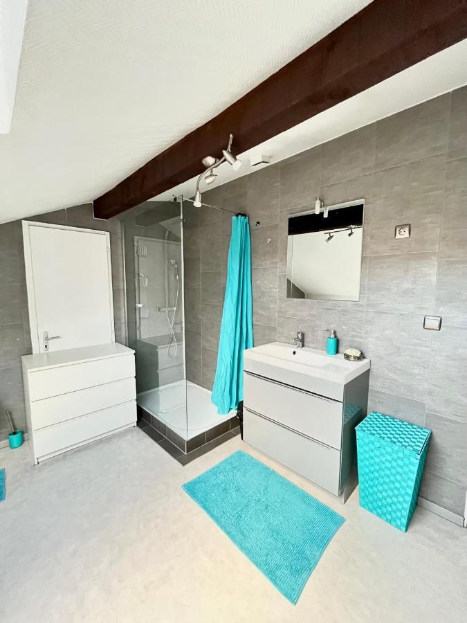 Pin'S - Magnifique Appartement Sarrebourg Exterior photo