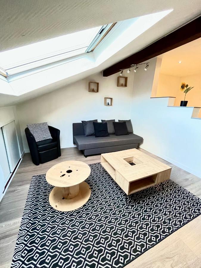 Pin'S - Magnifique Appartement Sarrebourg Exterior photo